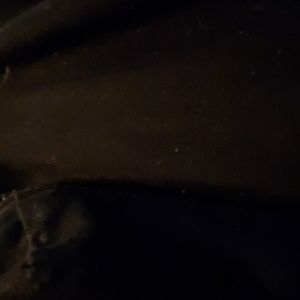 Meet your Posher, Sammy